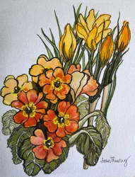 Crocus y prímulas